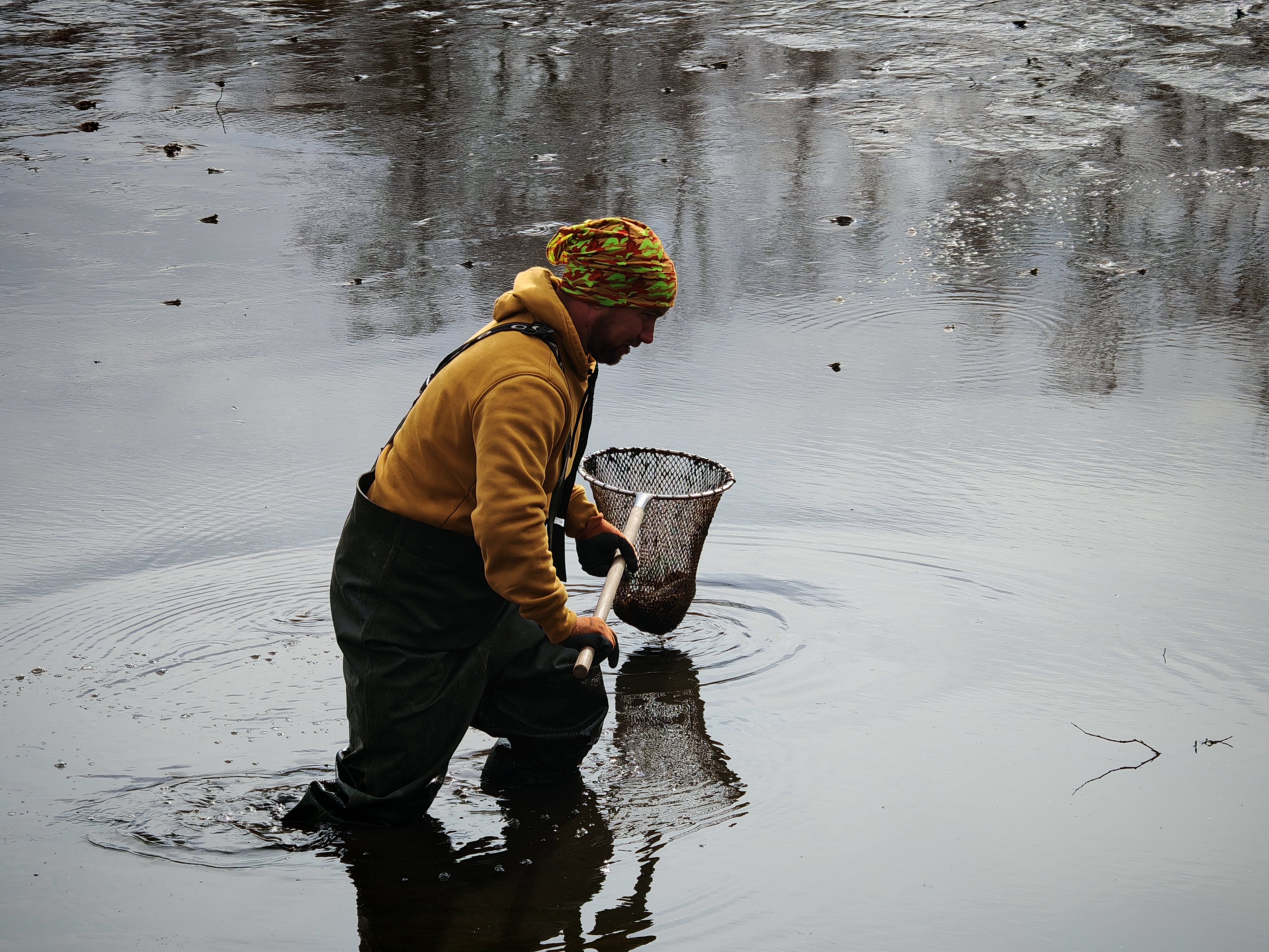 Výlov tůň č.4 (25.10.2025)